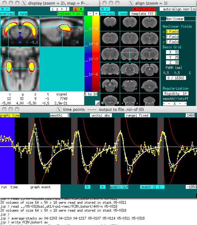 rat phMRI map, time course, and alignment