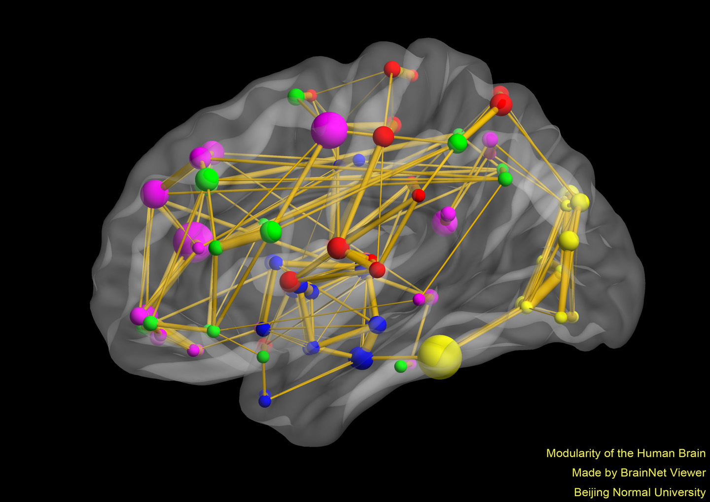 Modularity of the Human Brain