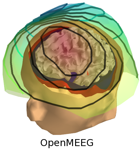 MEG simulation using OpenMEEG
