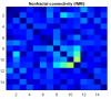 Nonfractal connectivity matrix