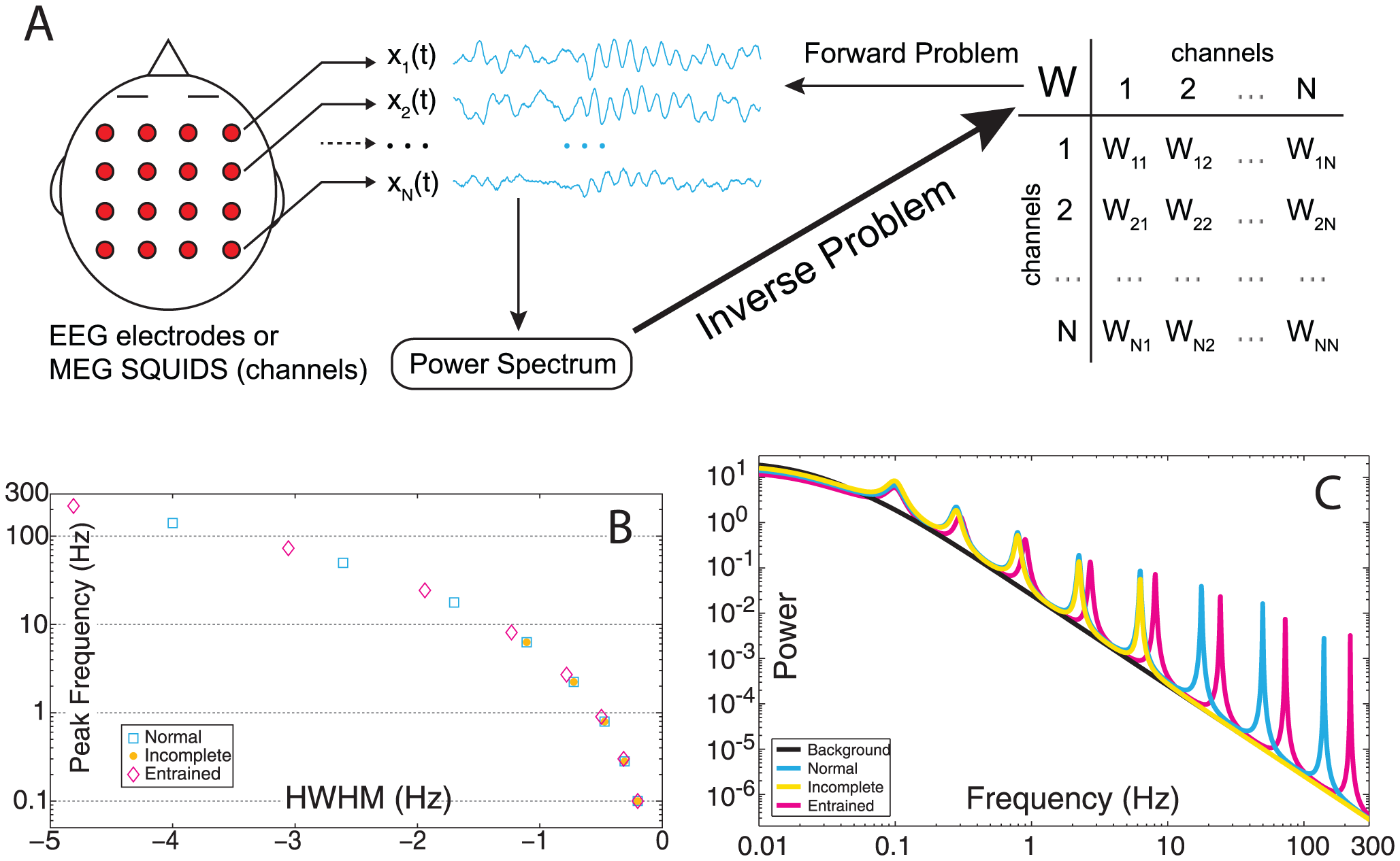 Reverse engineering Virtual Brains.