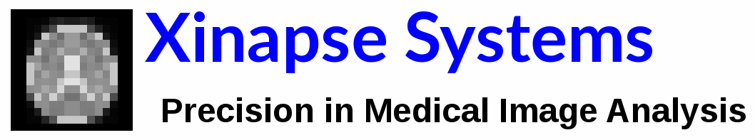Xinapse Systems Logo
