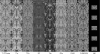 0.3mm Isotropic Healthy Controls Template in Nine Contrasts