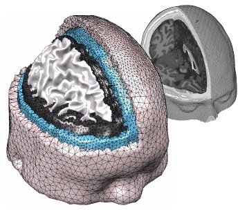 a complex human brain mesh generated by iso2mesh