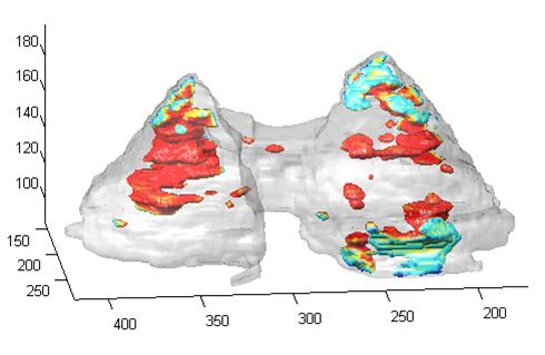 Example of rendering from software