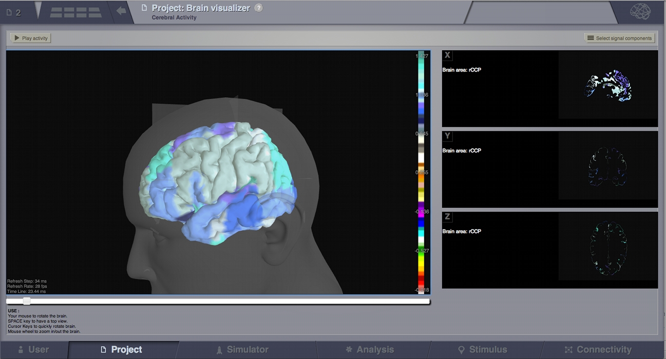 Brain Visualizer with simulated activity on regions