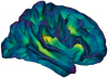 fsbrain neuroimaging visualization in R